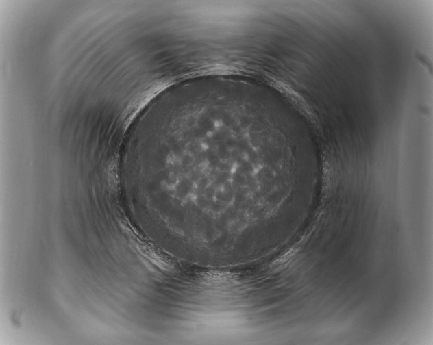 X0000102811170200808181216