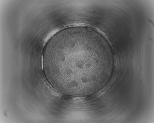 X0000102811171200808181216