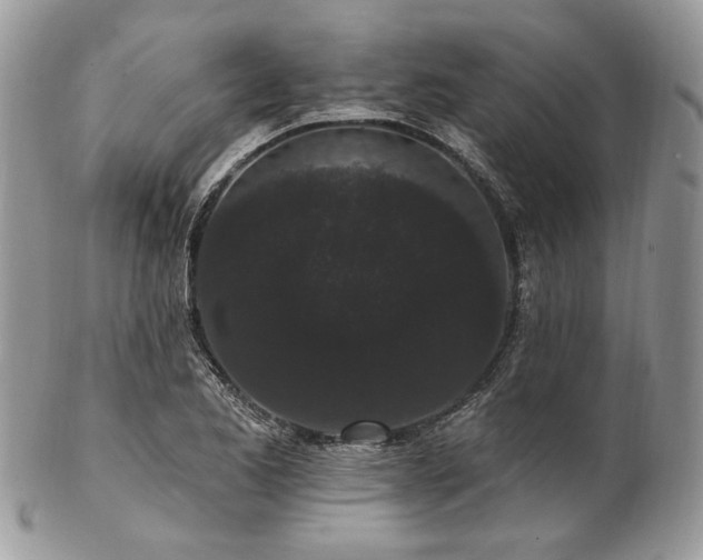 X0000102811173200808181216