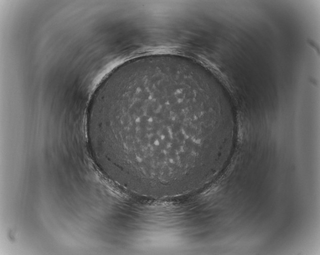 X0000102811174200808181216