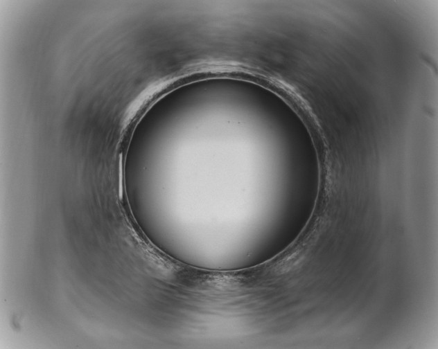 X0000102811175200808181216