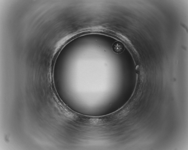 X0000102811176200808181216