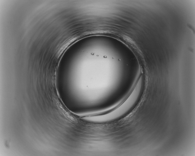 X0000102811177200808181216