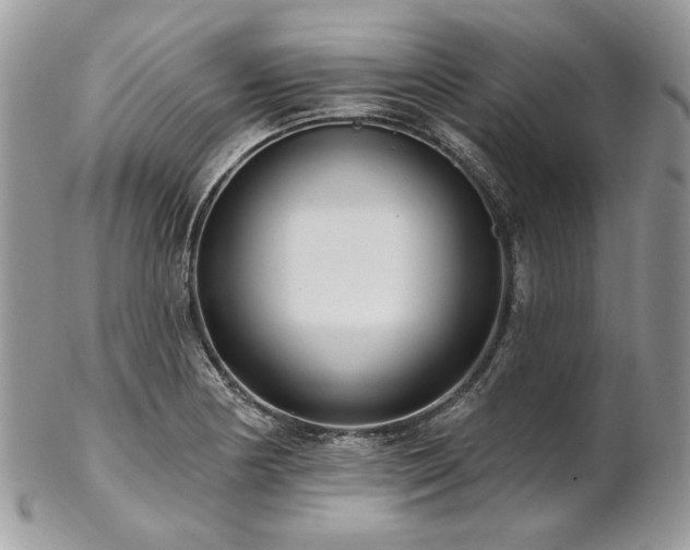 X0000102811178200808181216