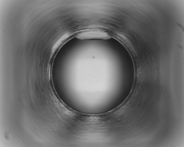 X0000102811180200808181216