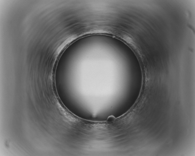 X0000102811181200808181216