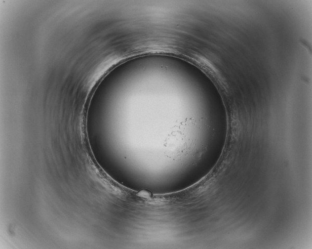 X0000102811182200808181216