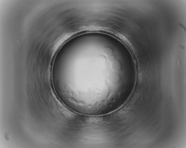 X0000102811183200808181216