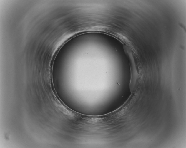 X0000102811184200808181216