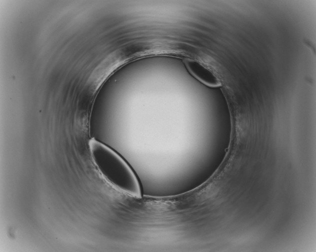 X0000102811185200808181216