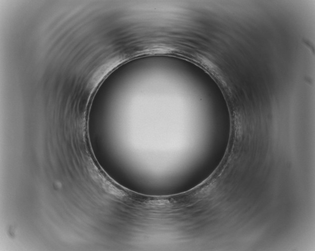 X0000102811186200808181216