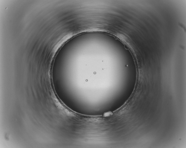 X0000102811189200808181216