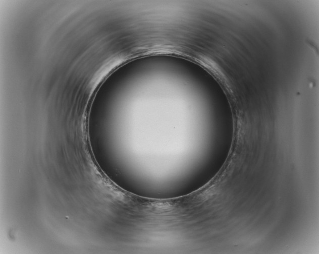 X0000102811190200808181216