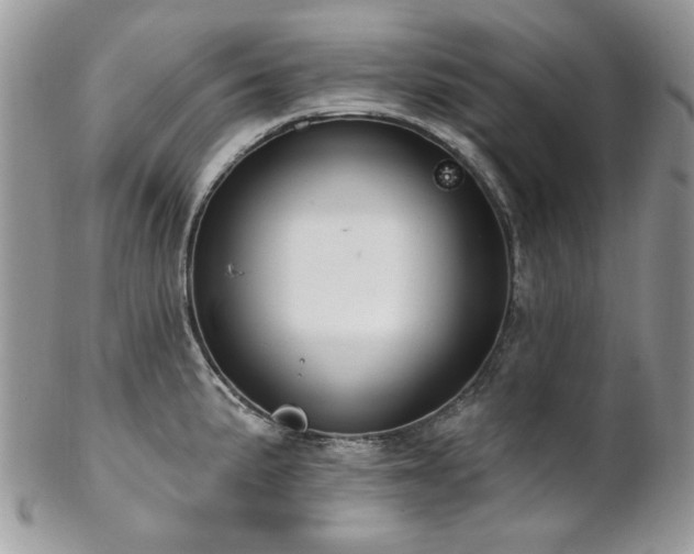 X0000102811191200808181216