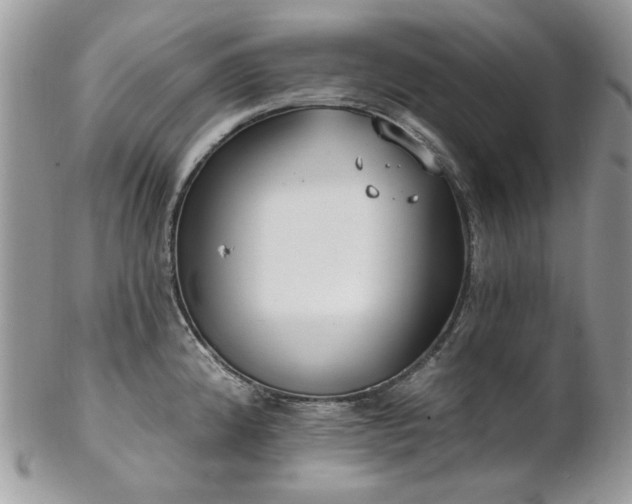 X0000102811192200808181216