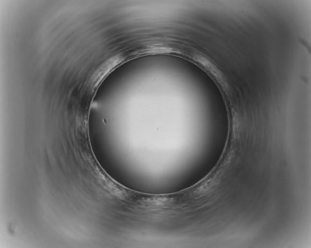 X0000102811193200808181216