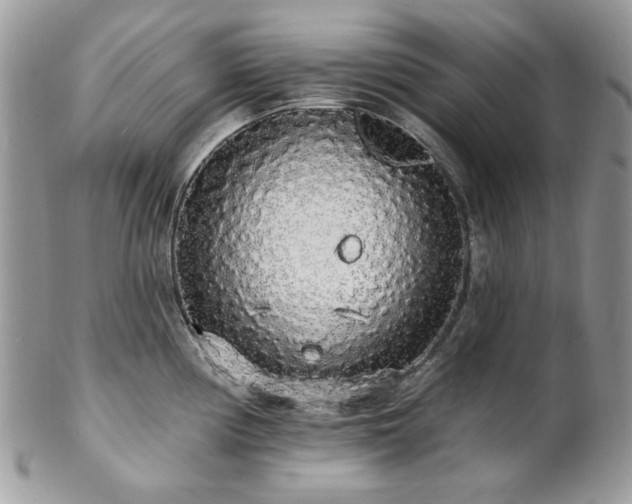 X0000102811194200808181216