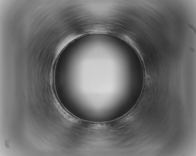 X0000102811195200808181216