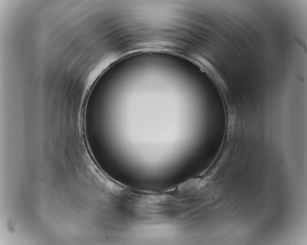 X0000102811196200808181216