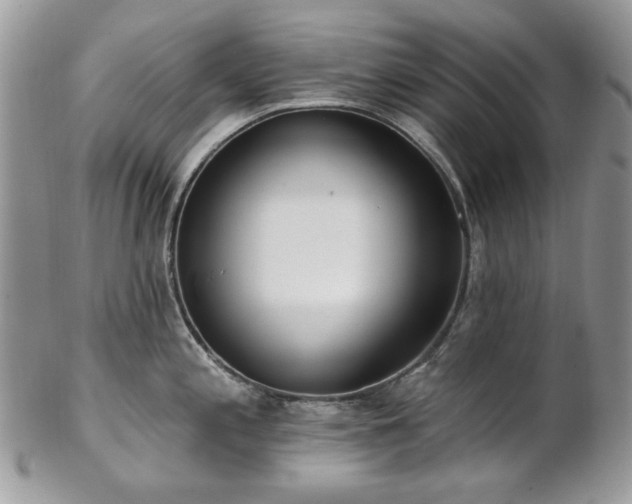 X0000102811197200808181216