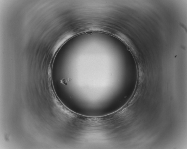 X0000102811198200808181216