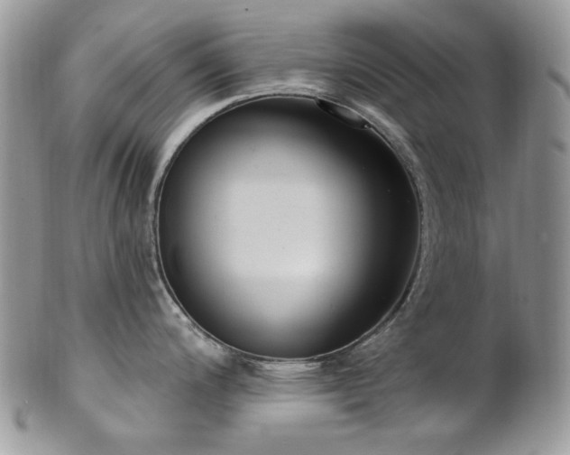 X0000102811200200808181216