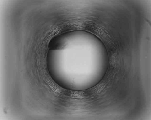 X0000102811201200808181215