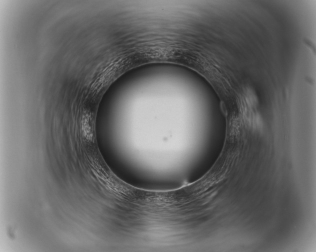 X0000102811202200808181215