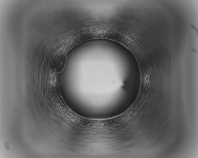 X0000102811204200808181215