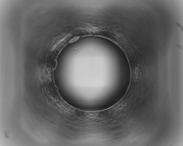 X0000102811205200808181215