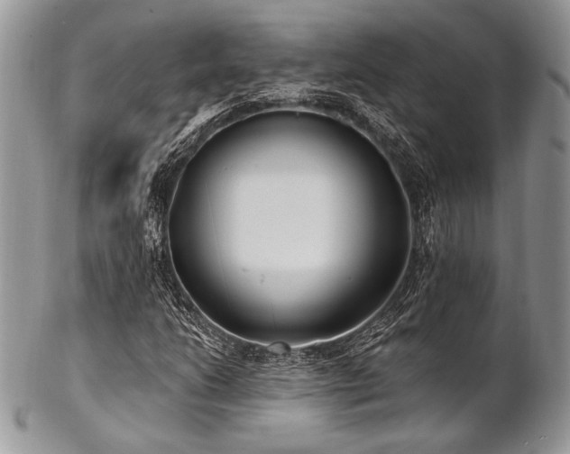 X0000102811206200808181215