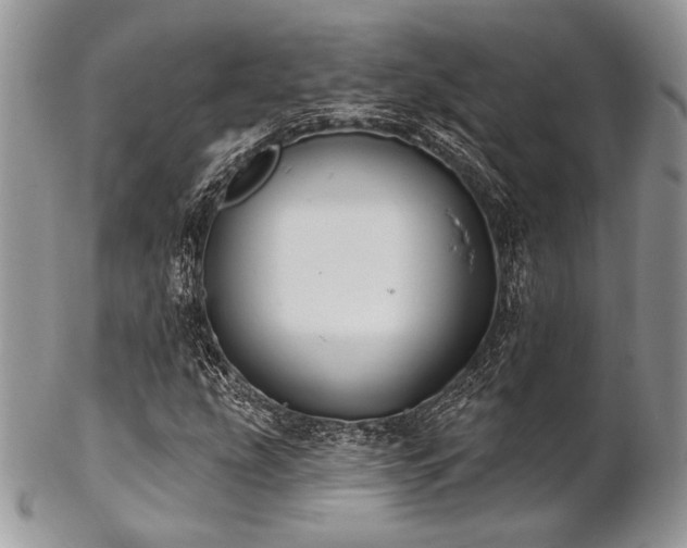 X0000102811207200808181215