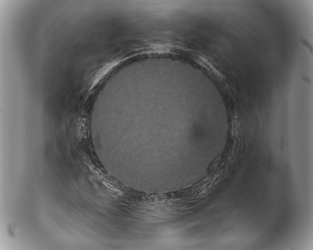 X0000102811208200808181215