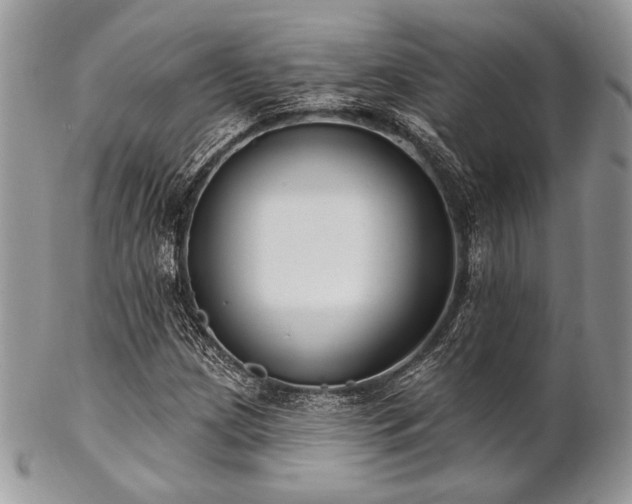 X0000102811209200808181215