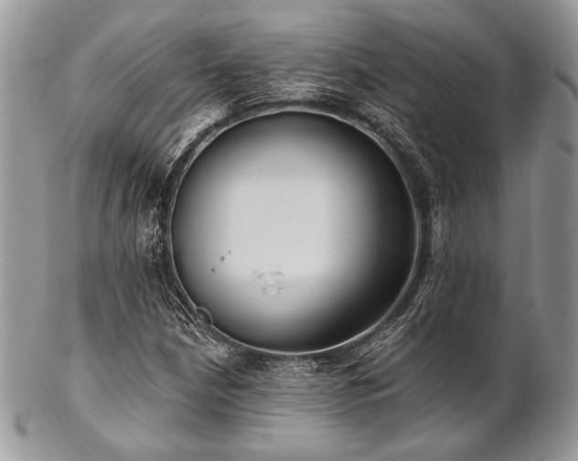 X0000102811210200808181215