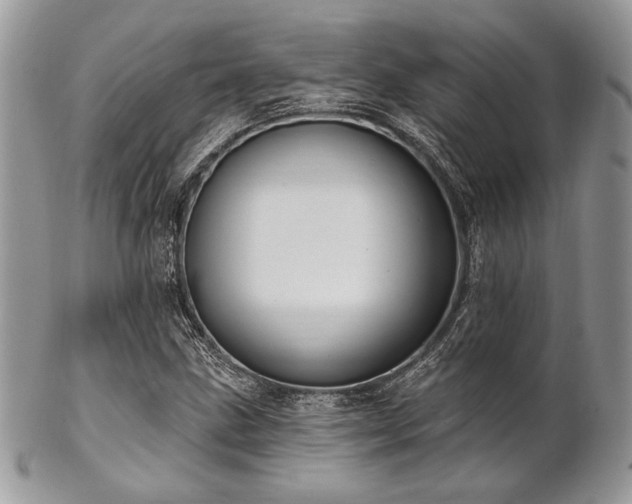 X0000102811211200808181215