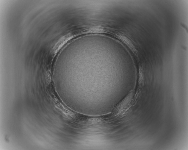 X0000102811212200808181215