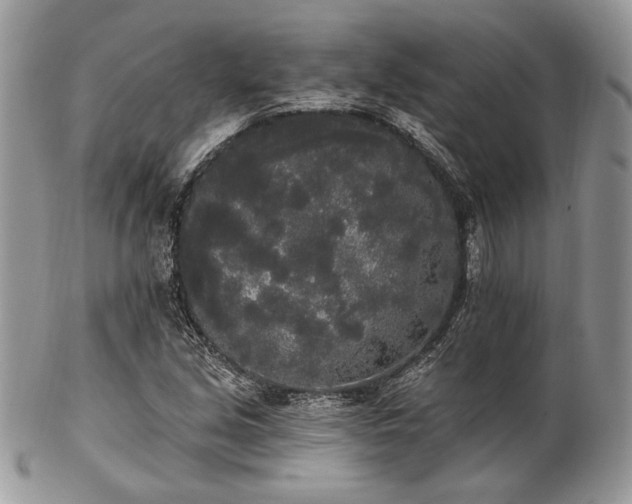 X0000102811213200808181215