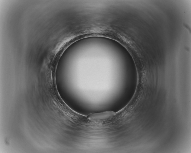 X0000102811214200808181215