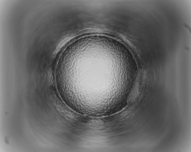 X0000102811215200808181215