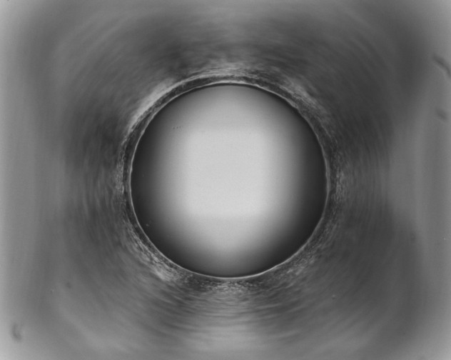 X0000102811216200808181215