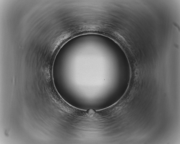 X0000102811218200808181215