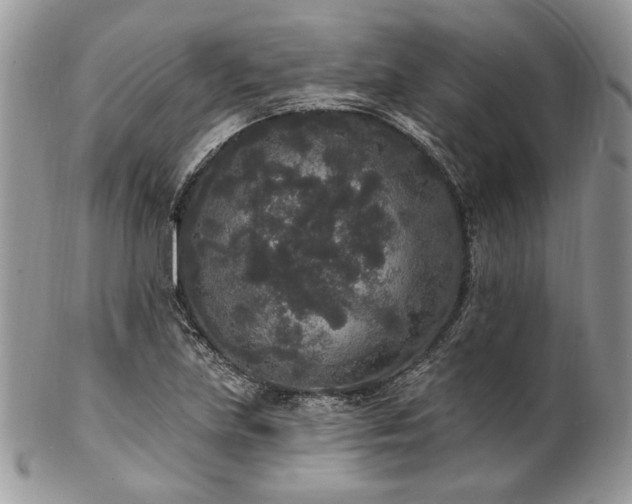 X0000102811219200808181215