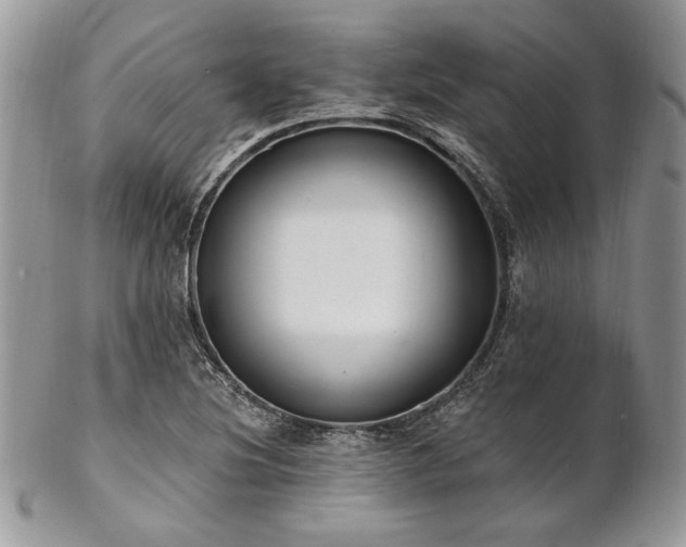 X0000102811220200808181215