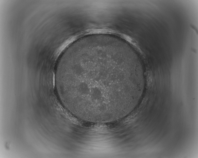 X0000102811221200808181215