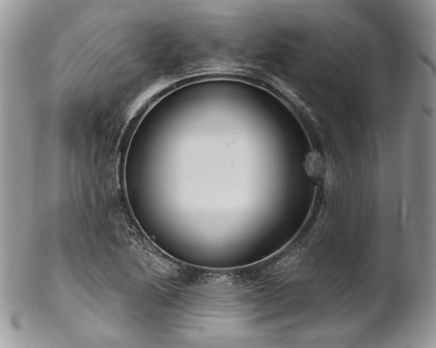 X0000102811222200808181215