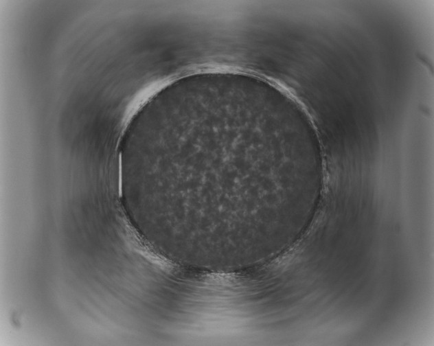 X0000102811223200808181215