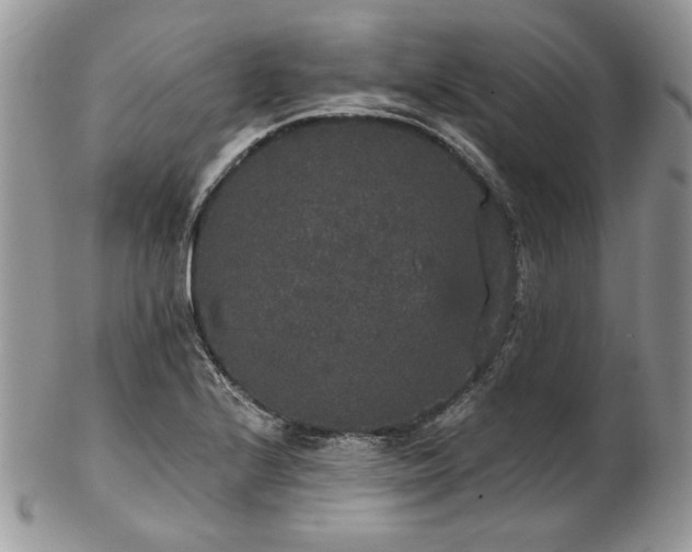 X0000102811224200808181215