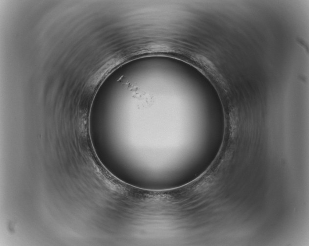 X0000102811225200808181215