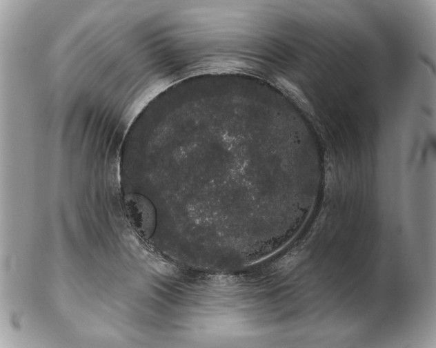 X0000102811226200808181216